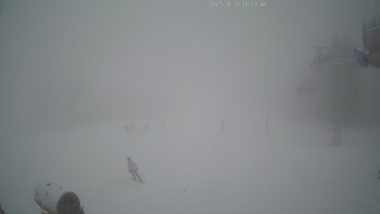 Deštné v Orlických horách