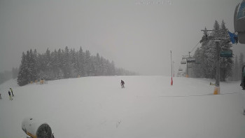 Deštné v Orlických horách