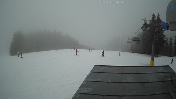 Deštné v Orlických horách