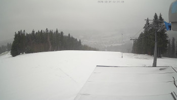 Deštné v Orlických horách