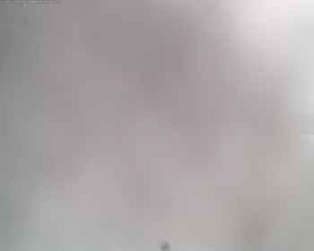 Obec Loučná nad Desnou