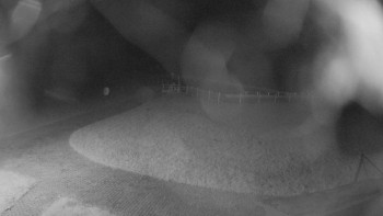 Snímek    10.5.2025 v 03:30