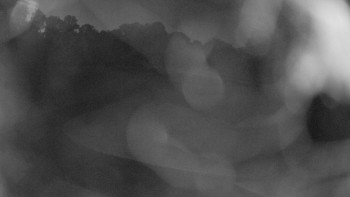 Snímek    12.5.2025 v 21:30
