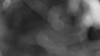 Snímek    12.5.2025 v 22:15