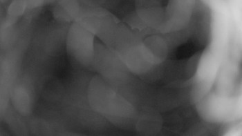 Snímek    1.7.2025 v 03:00