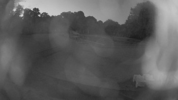 Snímek    4.7.2025 v 21:45
