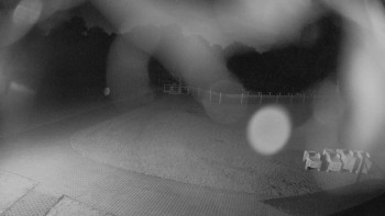 Snímek    6.7.2025 v 03:15