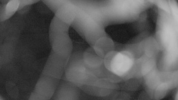 Snímek    14.7.2025 v 03:00