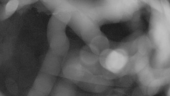 Snímek    15.7.2025 v 04:00