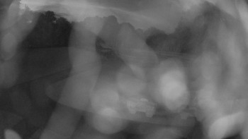 Snímek    20.8.2025 v 20:45