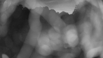 Snímek    28.8.2025 v 05:00