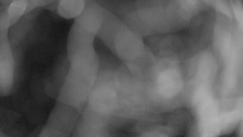 Snímek    13.9.2025 v 03:00