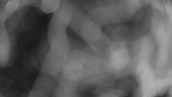 Snímek    13.9.2025 v 03:15