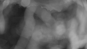 Snímek    13.9.2025 v 05:45