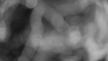 Snímek    13.9.2025 v 20:00