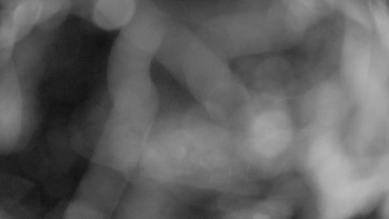 Snímek    13.9.2025 v 21:00
