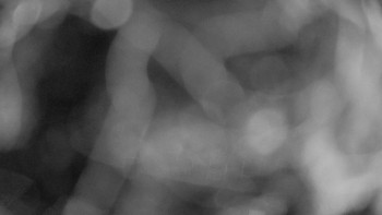 Snímek    13.9.2025 v 22:00