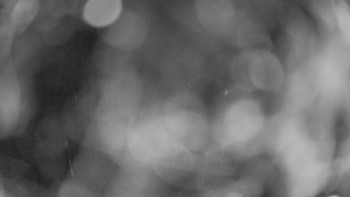 Snímek    13.9.2025 v 23:00