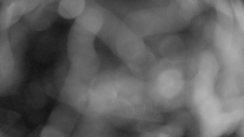 Snímek    14.9.2025 v 00:00