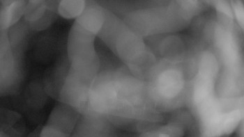 Snímek    14.9.2025 v 00:15