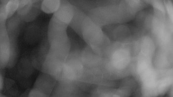 Snímek    14.9.2025 v 04:00