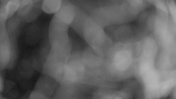 Snímek    14.9.2025 v 05:15