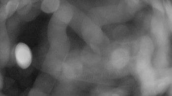 Snímek    14.9.2025 v 05:30