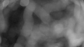 Snímek    15.9.2025 v 03:30