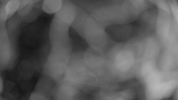Snímek    15.9.2025 v 05:15