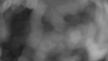 Snímek    15.9.2025 v 19:45