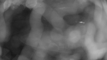 Snímek    16.9.2025 v 05:45