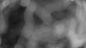 Snímek    17.9.2025 v 03:15