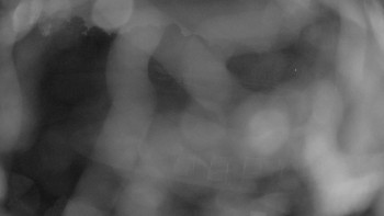 Snímek    18.9.2025 v 19:45