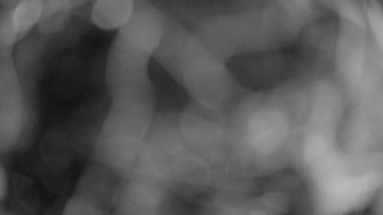 Snímek    18.9.2025 v 20:15