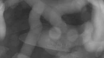 Snímek    7.10.2025 v 04:45