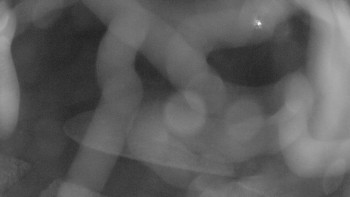 Snímek    14.10.2025 v 00:15