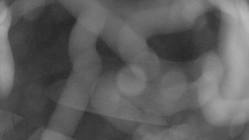 Snímek    14.10.2025 v 21:00