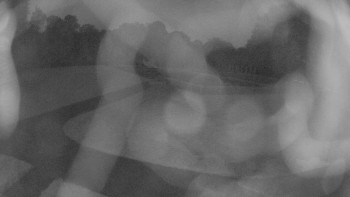 Snímek    15.10.2025 v 06:30