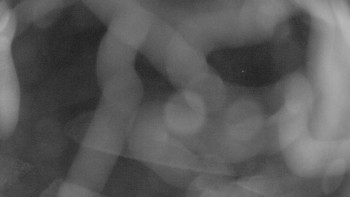 Snímek    15.10.2025 v 19:00