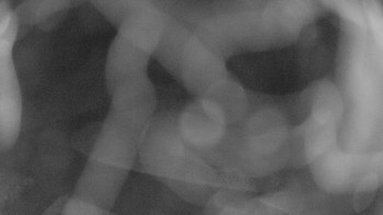 Snímek    16.10.2025 v 06:00