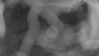 Snímek    16.10.2025 v 06:15