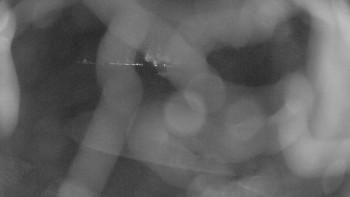 Snímek    20.10.2025 v 06:00
