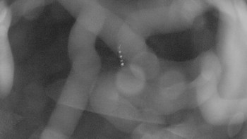 Snímek    21.10.2025 v 05:45