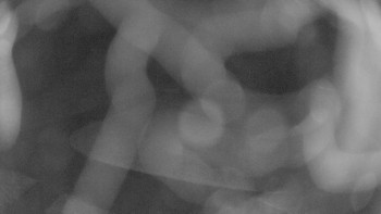 Snímek    22.10.2025 v 21:00
