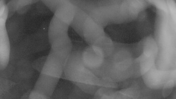 Snímek    31.10.2025 v 21:00