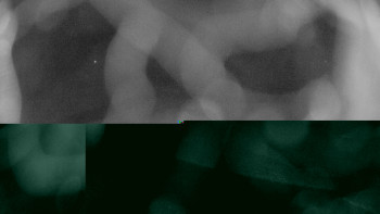 Snímek    1.11.2025 v 00:00