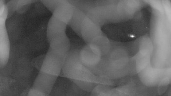 Snímek    1.11.2025 v 03:00