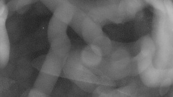 Snímek    1.11.2025 v 05:30