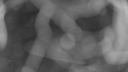 Areál koupaliště Holešov