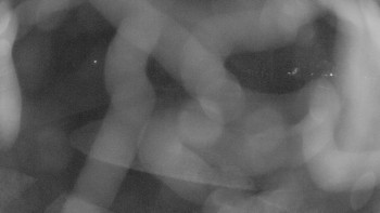 Snímek    3.11.2025 v 05:45